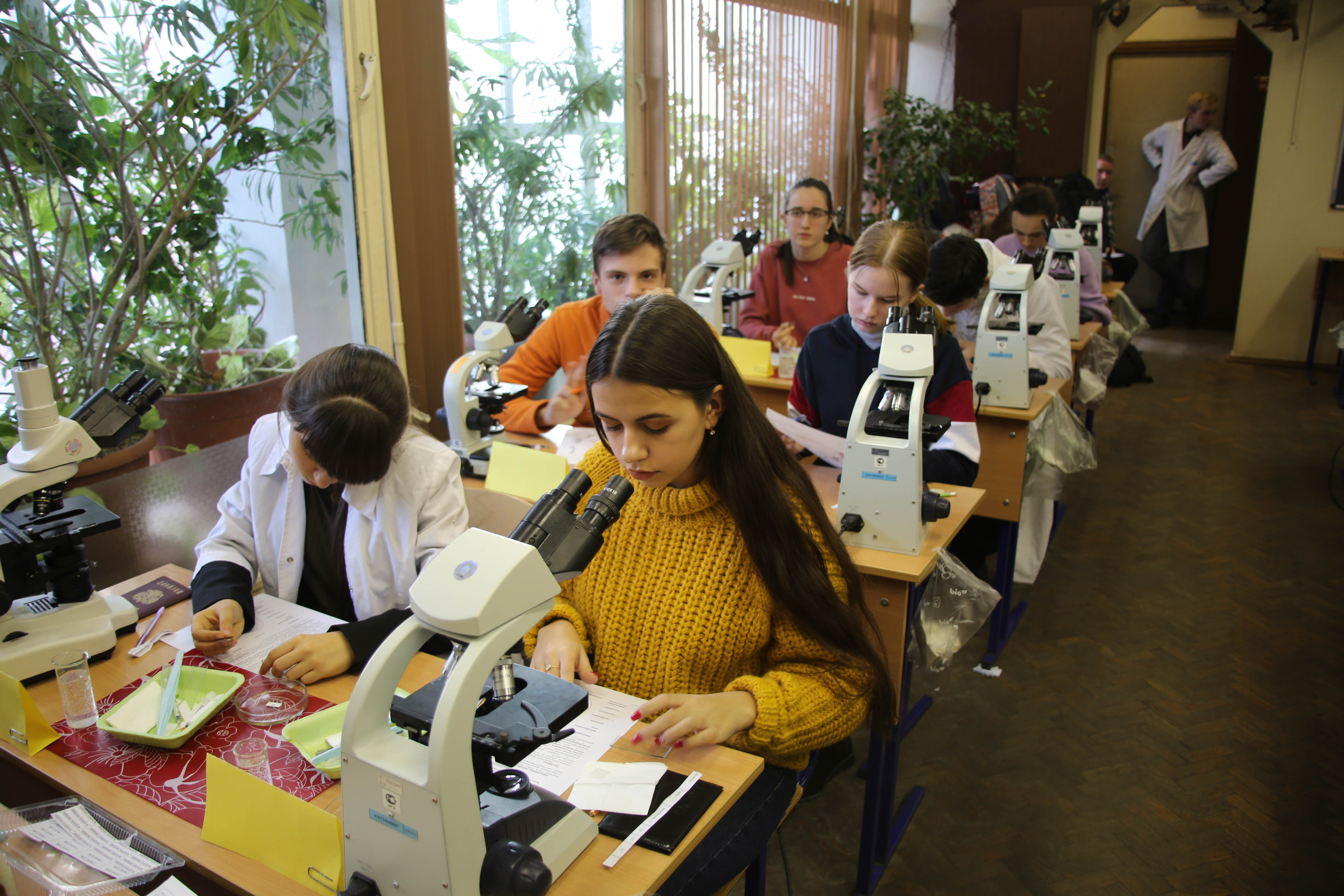 Научная деятельность